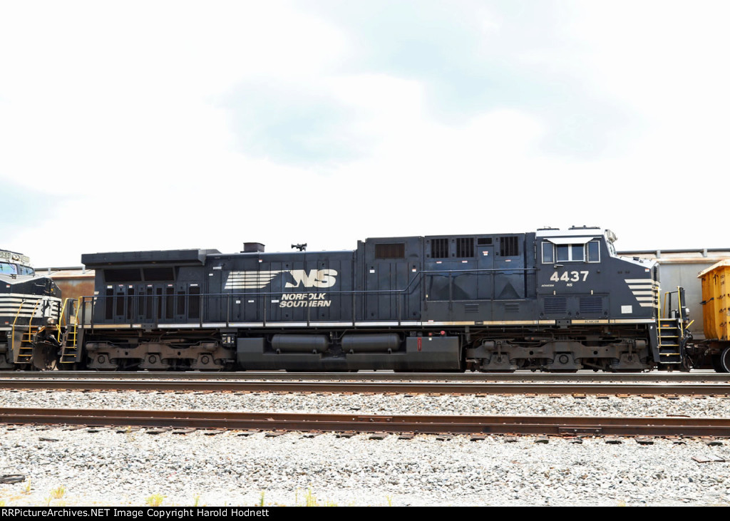 NS 4437